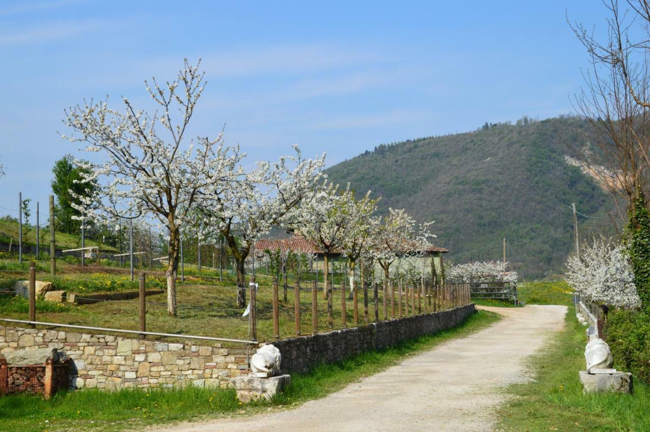 Cascina Valsorda Concesio Bagian luar foto
